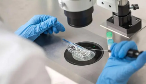 供卵医生电话：多囊卵巢综合症患者怎么备孕试管婴儿？