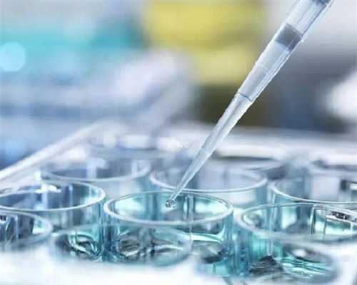 河南试管代生价钱--让不孕不育的家庭重获新生